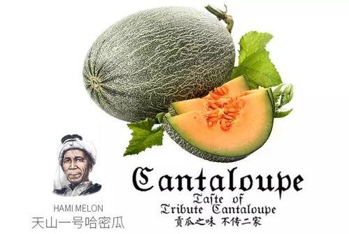 吃瓜群众看电影吃瓜号,吃瓜群众带你领略光影世界