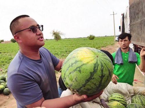 吃瓜封面图片大全,海量封面图片大盘点