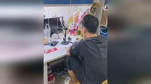 全寝室吃瓜视频,揭秘校园生活趣味瞬间